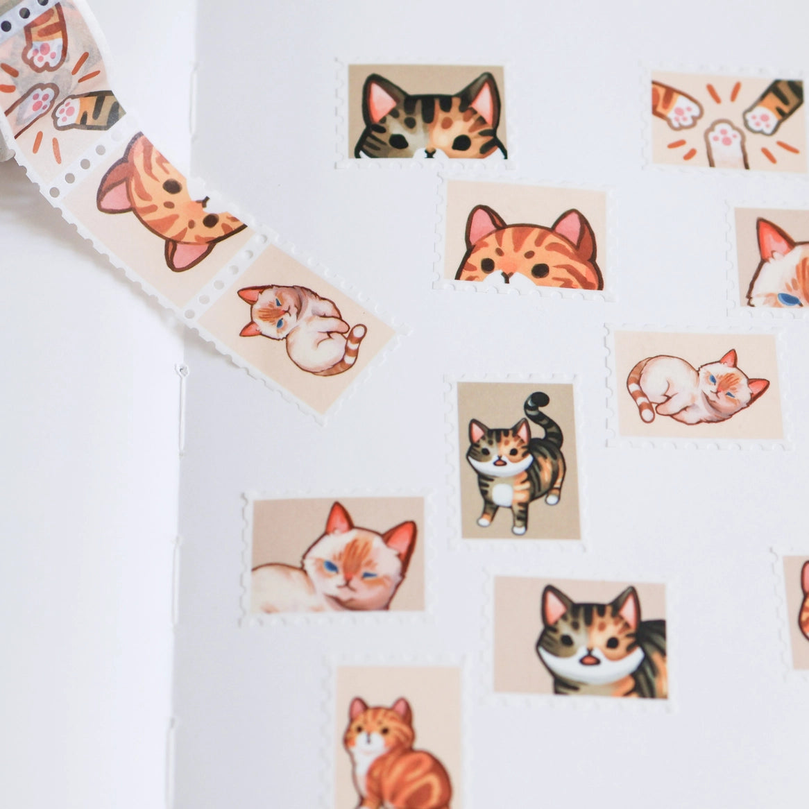 Tabby Cats